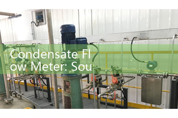 Professional vortex flowmeter